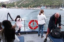Private Tour: Cape of Good Hope Cape Point Penguins Kirstenbosch