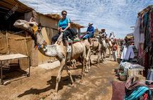 Private Trip to the Nubian Village by Motorboat in Aswan