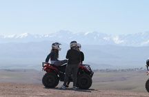 Half-day quad bike in the palmgrove & rock desert
