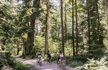 The Stanley Park Bicycle Tour by Cycle City Tours