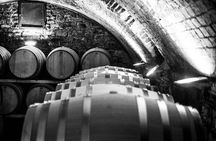 Discover Chianti Through its Wines
