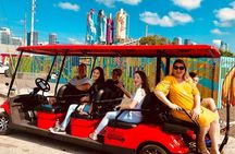 1 Hour WYNWOOD BUGGIES tour