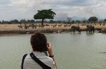 3 Days Safari to Mikumi NP - Accommodation Inside the Park