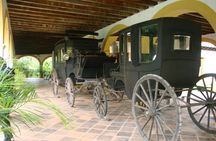 Coatepec and Xico Magical Towns Plus Xalapa Day Trip from Veracruz