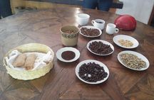Coatepec and Xico Magical Towns Plus Xalapa Day Trip from Veracruz