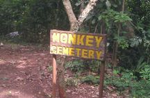 A 6 Days Cultural, Historic And Nature Tours