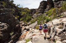 Grampians National Park with Australian Wildlife and Morning Tea