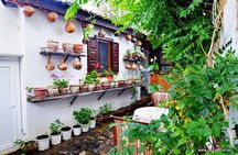 Ephesus Exclusive Tour - Kusadasi Private Shore Excursion