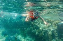 Snorkeling Adventure in Isla Mujeres