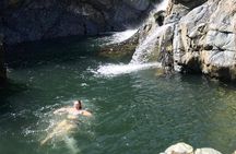 Half-Day Yunque Rainforest Waterslide & rope swing Guided Tour 