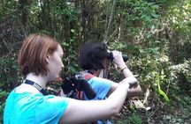 Bird watching ecofriendly tour from Cancun & Riviera Maya