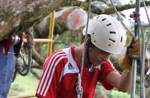Tree Top Climbing Monteverde