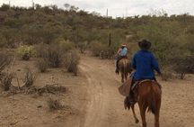 Horseback ride and witness magical sunset of Loreto, BCS