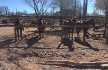 Horseback ride and witness magical sunset of Loreto, BCS