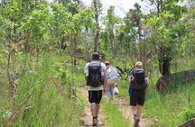 Aural Mountain Trek: Cambodia Tallest Peak Challenge