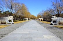 Private Day Tour of Juyongguan Great Wall and Sacred Way from Beijing