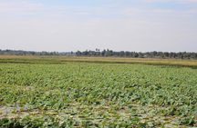 Phnom Penh to Siem Reap Cycling Tour