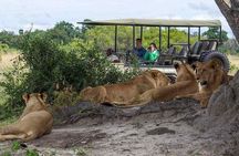 Chobe Full Day Trip From Victoria Falls