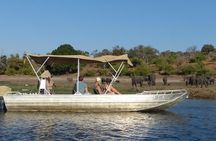 Chobe Full Day Trip From Victoria Falls