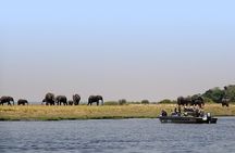 Chobe Full Day Trip From Victoria Falls