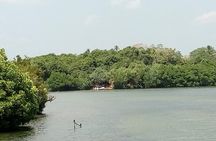 Koggala Lake Boat Tour
