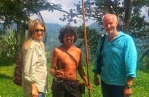 Cameron Highland Mossy Forest Experience Day Trip from Ipoh 
