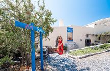 Santorini Wine Tour: Taste 12 best wines & 3 beers with pairings