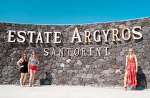 Santorini Wine Tour: Taste 12 best wines & 3 beers with pairings