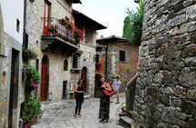Villages of Chianti with lunch and tasting in Open Top Van