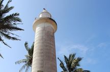 Galle Fort, Turtle, - Private Day Tour From Negombo or Colombo