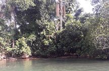 Galle Fort, Turtle, - Private Day Tour From Negombo or Colombo