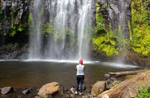 Materuni waterfall and Coffee tour