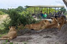 Chobe National Park and Impalila Island Day Tour from Victoria Falls