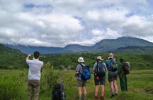 Arusha National Park Game drive and Walking Safari Day Tour
