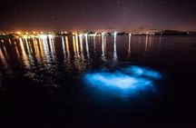 Luminous Lagoon Magical Tour