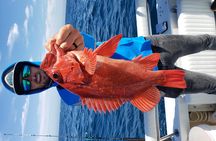 Coronado Islands 12 Hour Fishing Trip for up to 4 People