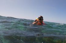 Reef Snorkel In National Park In Puerto Morelos With Lunch And Transportation