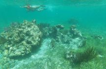 Reef Snorkel, underwater adventure in Puerto Morelos With Transportation & Lunch