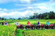 Bali Quad Bike Adventure - Monkey Forest- and Waterfall