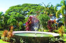 St Kitts Island Tour (Reconfirm Ship or Hotel)