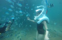 Full-day Cham Islands Cruise from Hoi An with Underwater Walking Excursion