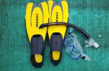 Cham Islands Snorkeling Tour by SpeedBoat from Da Nang
