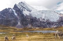 5-Day 4-Night Ausangate Trek from Cusco, Peru