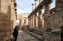Paestum Traditions, Buffaloes, Ceramics, Temples
