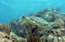 Fajardo Afternoon Snorkeling Adventure Tour