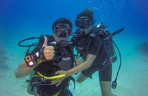 Full-Day Catalina Island Scuba Diving Tour from Punta Cana