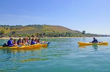 Gaviota Coast Kayak Tour Near Santa Barbara (3.5 Hours)
