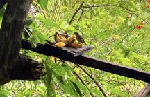 Rockland Bird Sanctuary and Hip-Strip Shopping