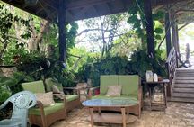 Rockland Bird Sanctuary and Hip-Strip Shopping