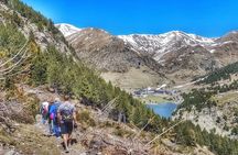 Pyrenees Mountain Train and Nature Walk